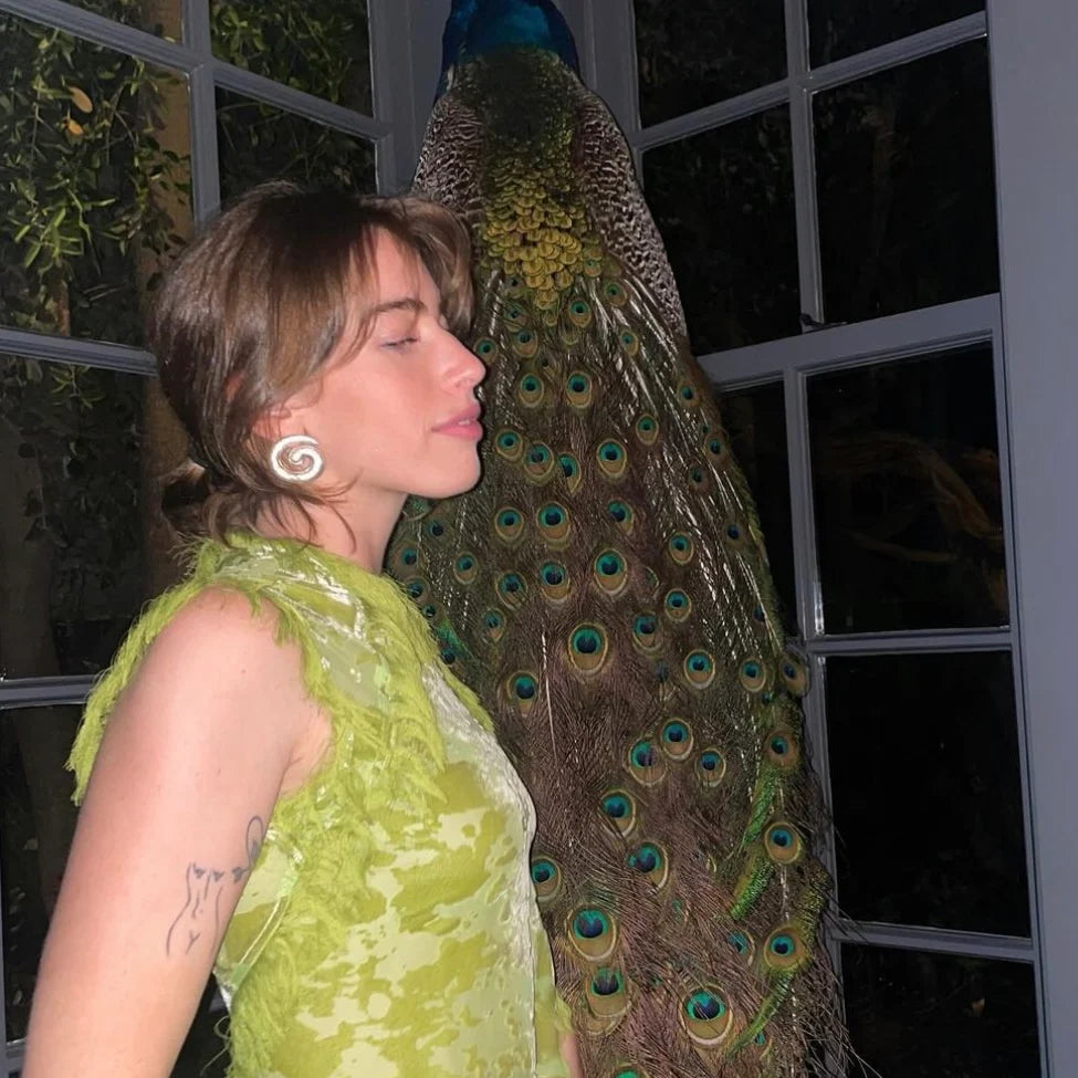 Silver Swirl Earrings | Briwok