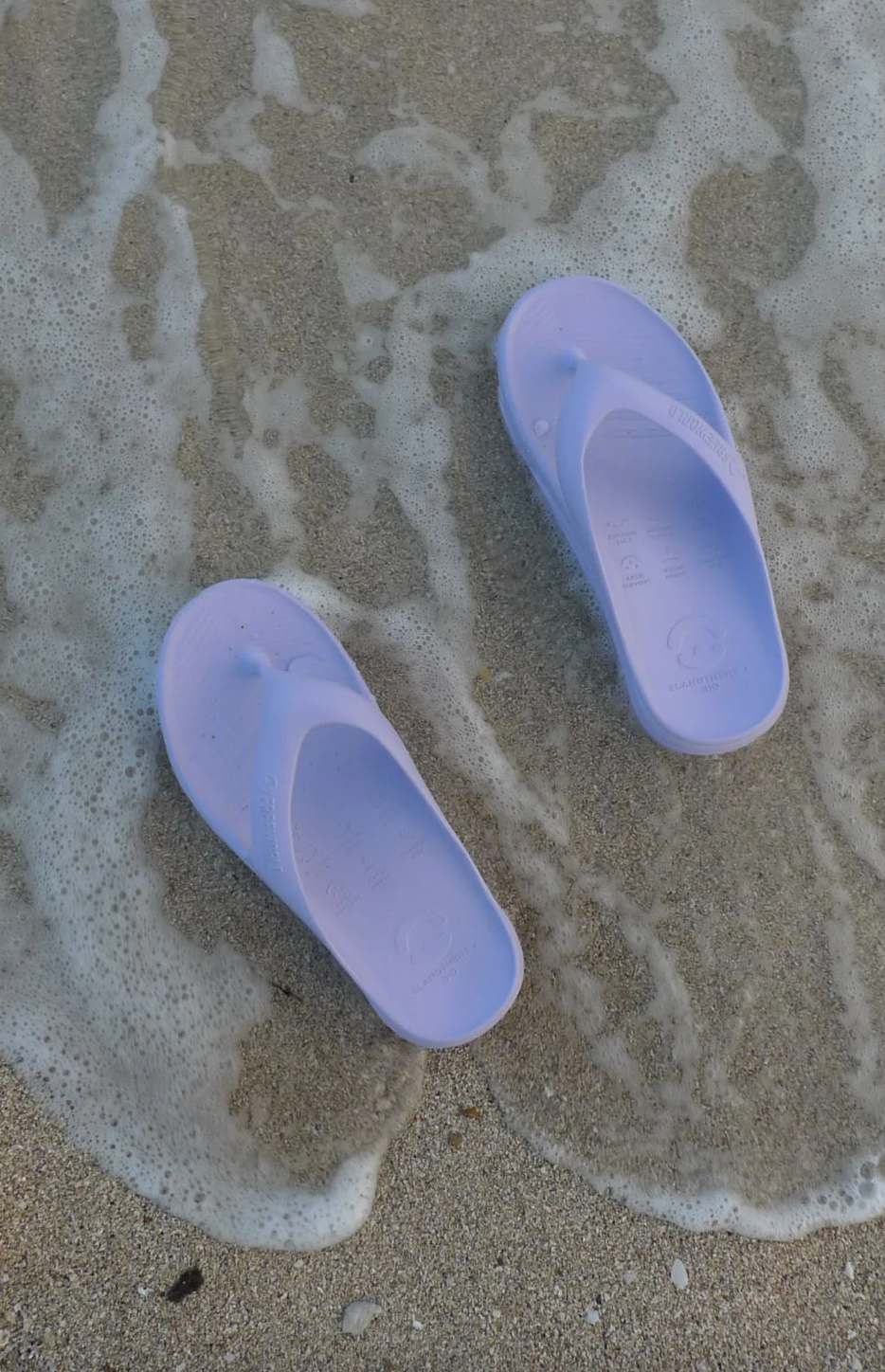 Bio Thong Wisteria | Free World