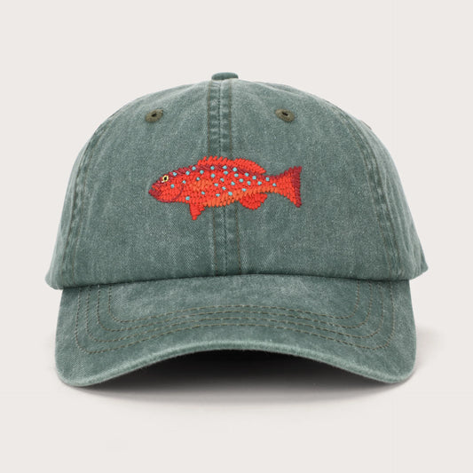 Coral Trout Lid | Pallion Point