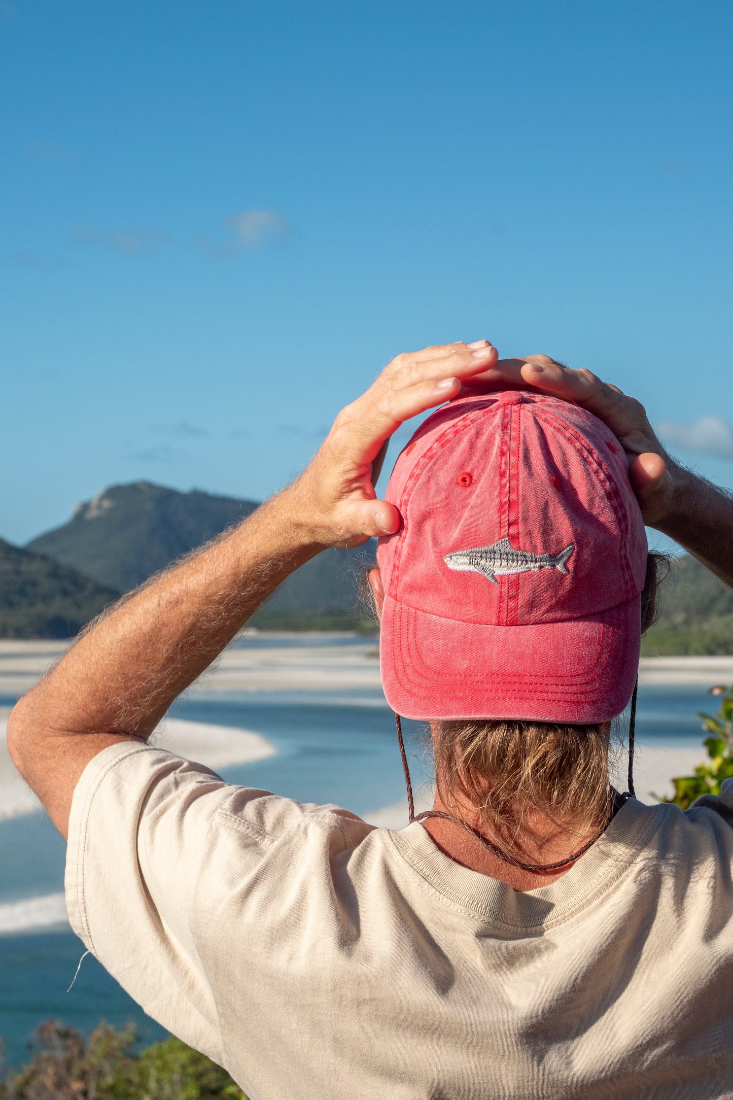Tiger Shark Lid | Pallion Point