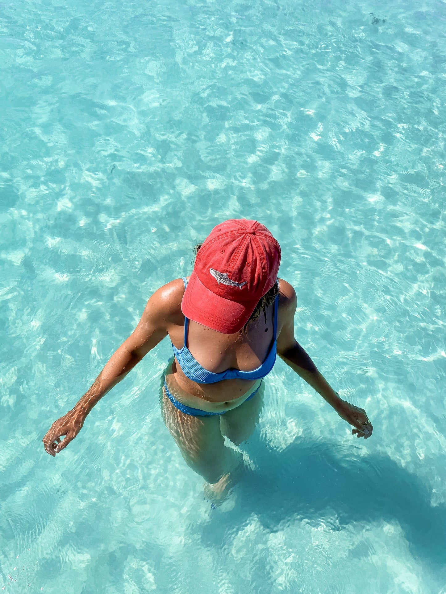 Tiger Shark Lid | Pallion Point